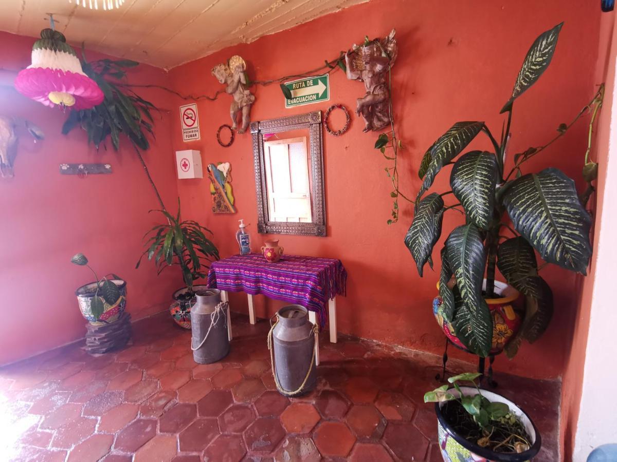 La Casa Del Abuelo Hostel San Miguel de Allende Exterior photo
